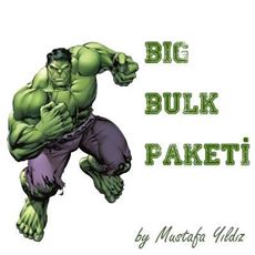Picture of My Hulk-Big Bulk Paketi